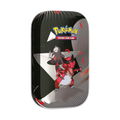 Pokemon TCG Unova Mini Tin (Random) [ENG]